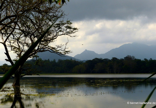 14-01-20-sigiriya-kibissa-see-037