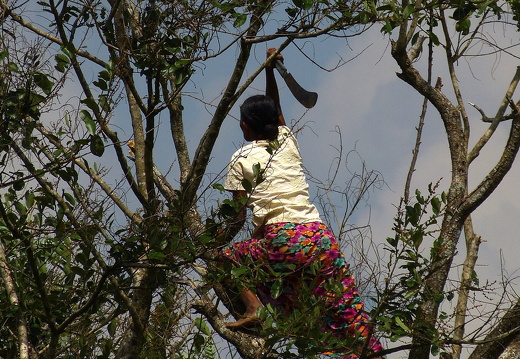 14-01-20-sigiriya-village lake-110