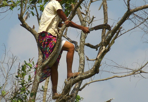 14-01-20-sigiriya-village lake-119