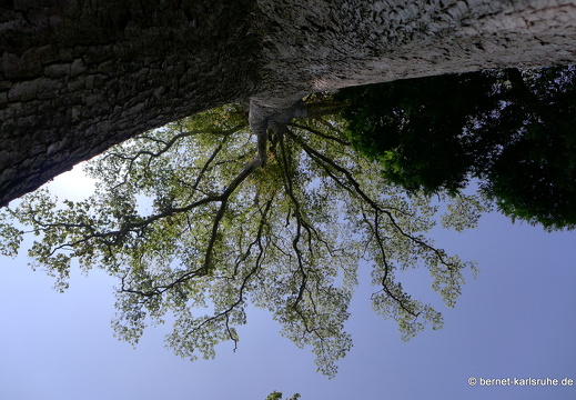 14-01-23-peradeniya-168