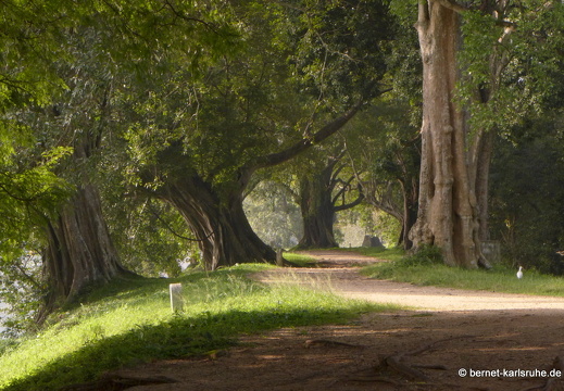 14-02-05-mahiyangana-sorabora-see-041