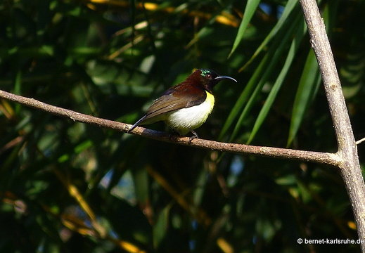 14-02-06-mahiyangana-069