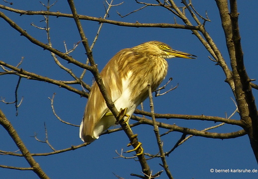 14-02-06-mahiyangana-113
