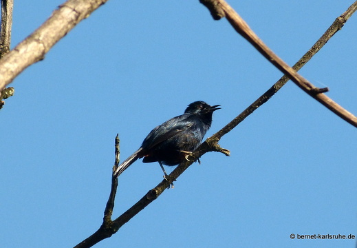 14-02-07-mahiyangana-015