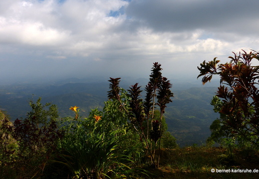 14-02-11-haputale-036