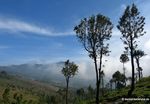 14-02-12-haputale-037