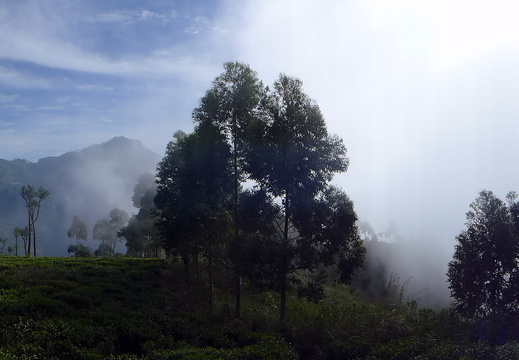 14-02-12-haputale-235