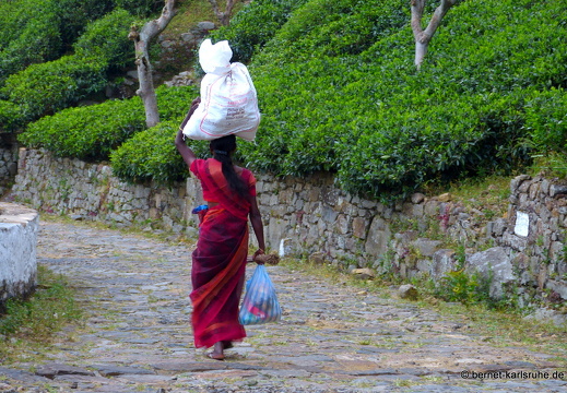 14-02-13-haputale-208