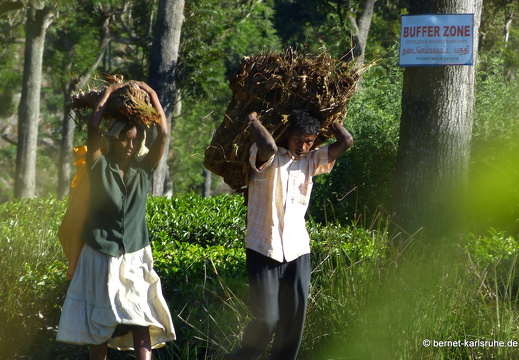 14-02-14-haputale-am lake richmond-057