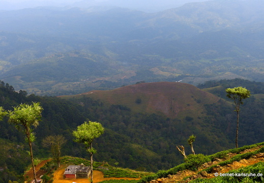 14-02-15-haputale-247