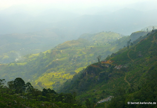 14-02-15-haputale-283