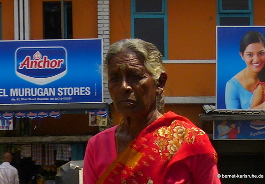 14-02-16-haputale-357