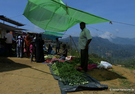 14-02-16-haputale-markt-214