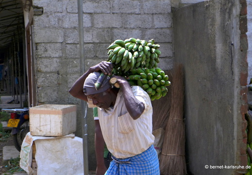 14-02-16-haputale-markt-340