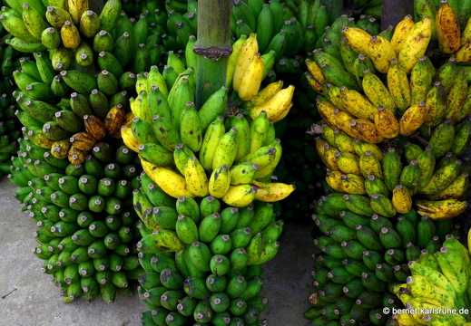 14-02-16-haputale-markt-345