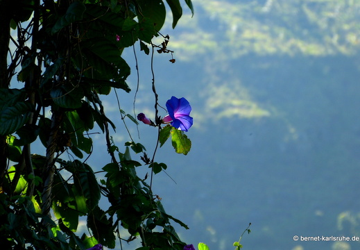 14-02-17-haputale-080