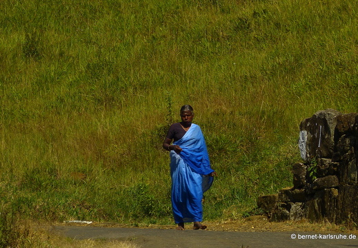 14-02-17-haputale-121