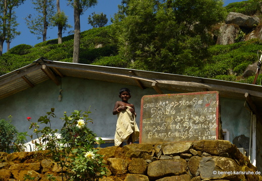 14-02-17-haputale-150