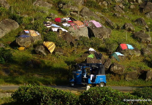 14-02-17-haputale-dambatenne-003