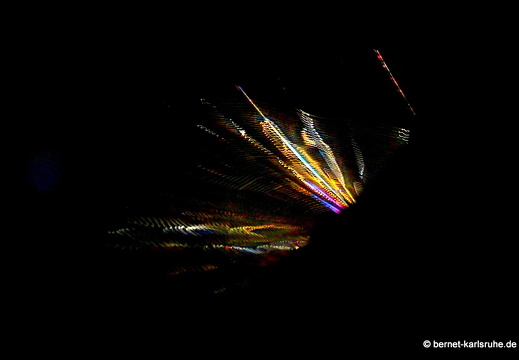 14-02-21-deniyaya-dschungeltempel-spinnennetz-080