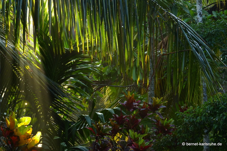 14-02-22-deniyaya-rainforestlodge-003.JPG