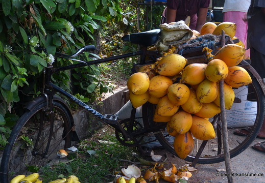 14-02-28-weligama-markt-074