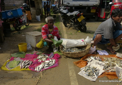 14-02-28-weligama-markt-081