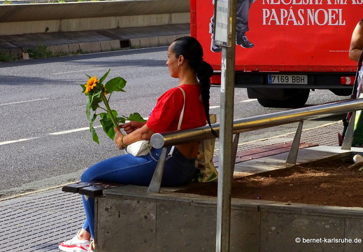 24-01-17-las palmas-138