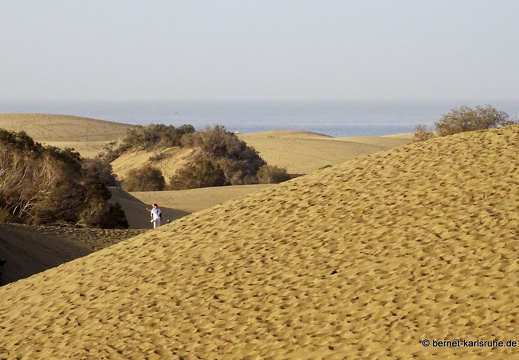 24-01-29-maspalomas-mirador de las dunas-049
