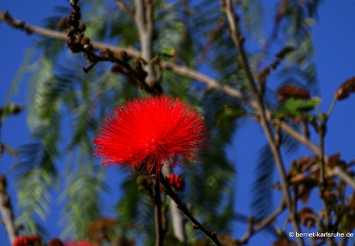 24-01-20-maspalomas-068