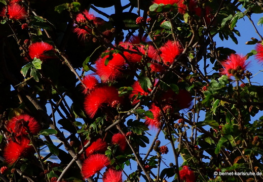 24-01-20-maspalomas-069