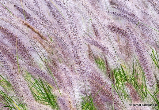 24-01-24-arinag-barranco de balos-002