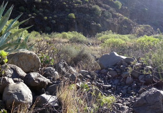 24-03-07-agueimes-barranco de guayadece-044