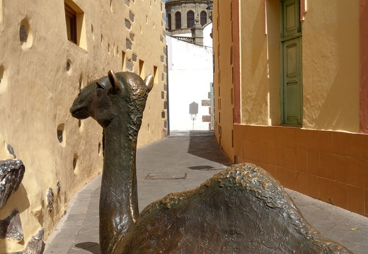 24-03-01-agueimes-028