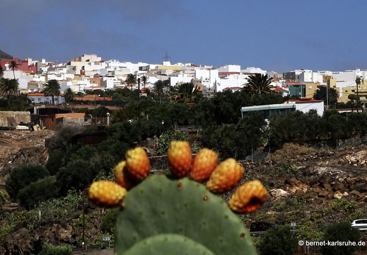 24-02-28-agueimes-030