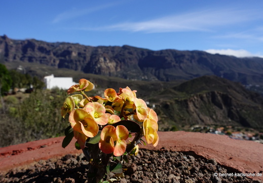 24-02-29-san-bartholome-193