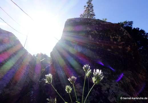 24-02-29-san-bartholome-142