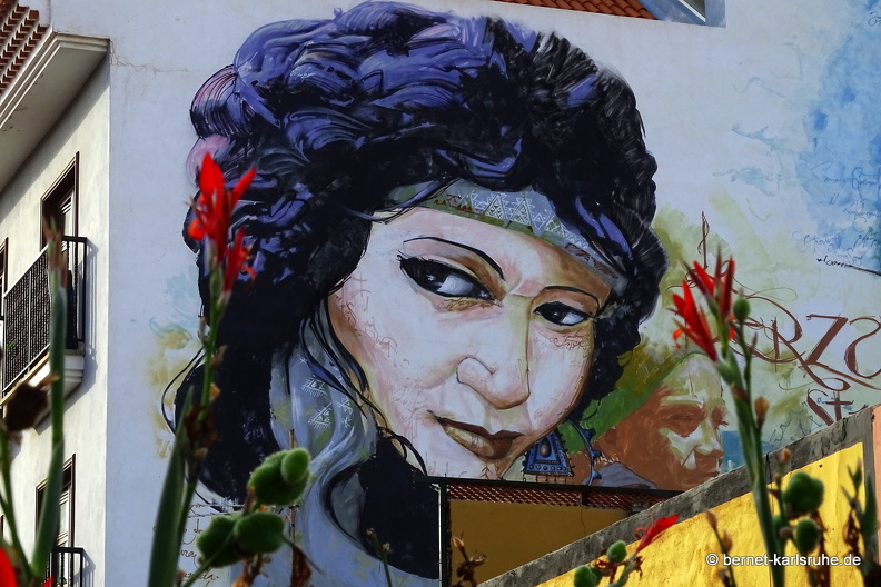 22-11-06-pdlc-la ranilla-calle mequinez-wandmalerei-graffito-.JPG