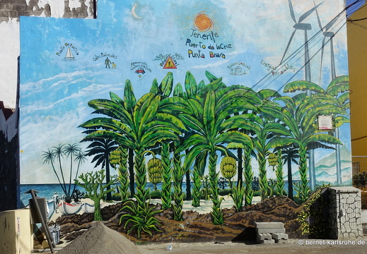 22-11-16-pdlc-punta brava-graffito-