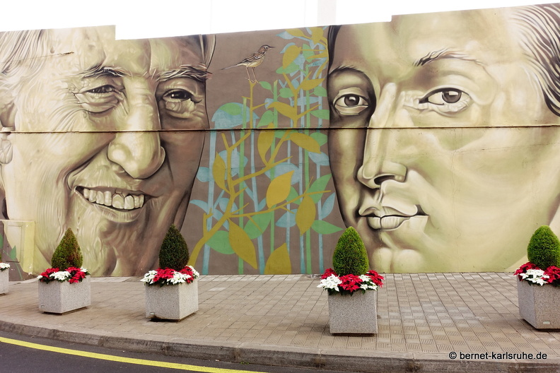 22-12-10-los realejos-wandmalerei-.JPG