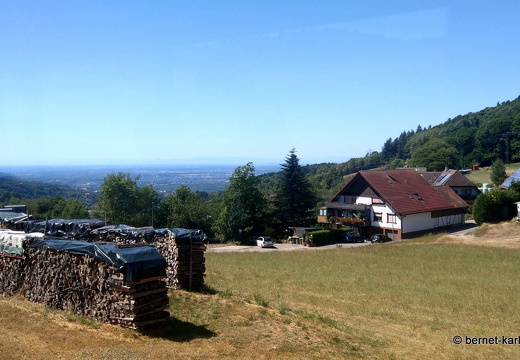 Schwarzwald