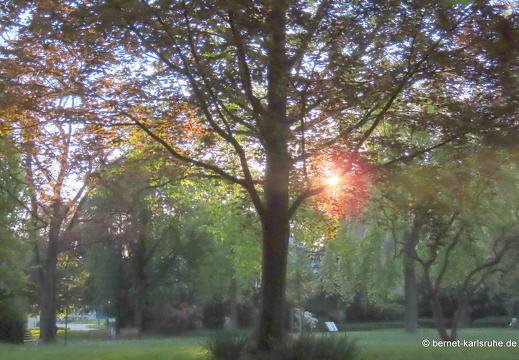 22-05-03-stadtgarten-002