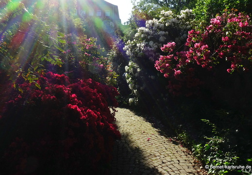 22-05-08-klostergarten-mariahilf-151