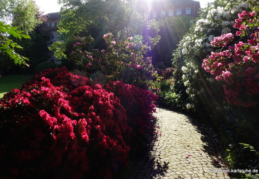 22-05-08-klostergarten-mariahilf-159