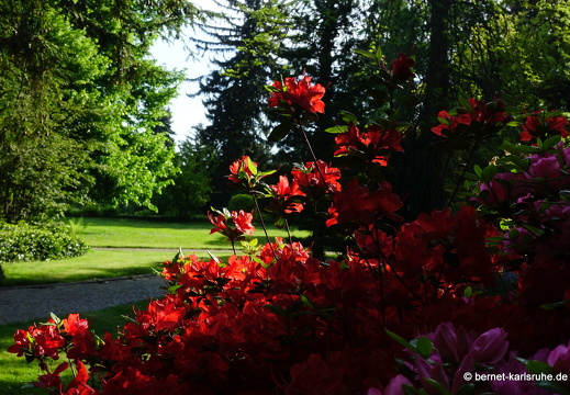 22-05-08-klostergarten-mariahilf-170