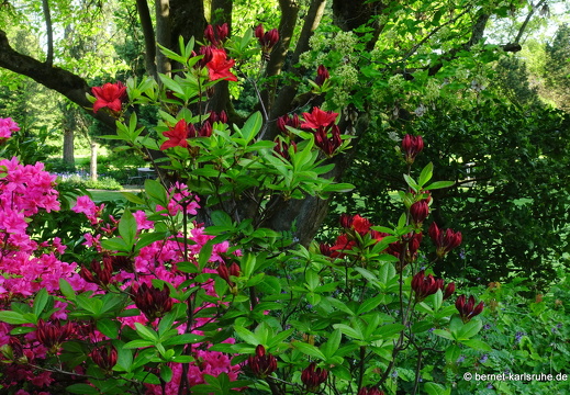 22-05-08-klostergarten-mariahilf-156