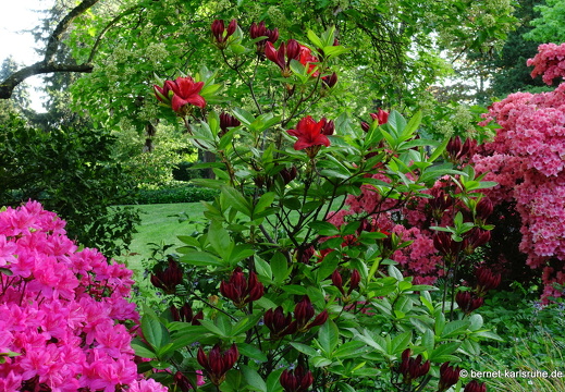 22-05-08-klostergarten-mariahilf-162