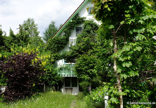 22-06-01-freudenstadt-kniebis-empfangskomitee-020
