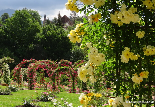 22-06-09-rosenneuheitengarten-168