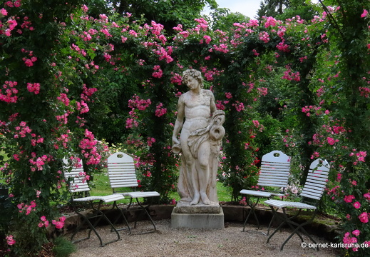 22-06-09-rosenneuheitengarten-149